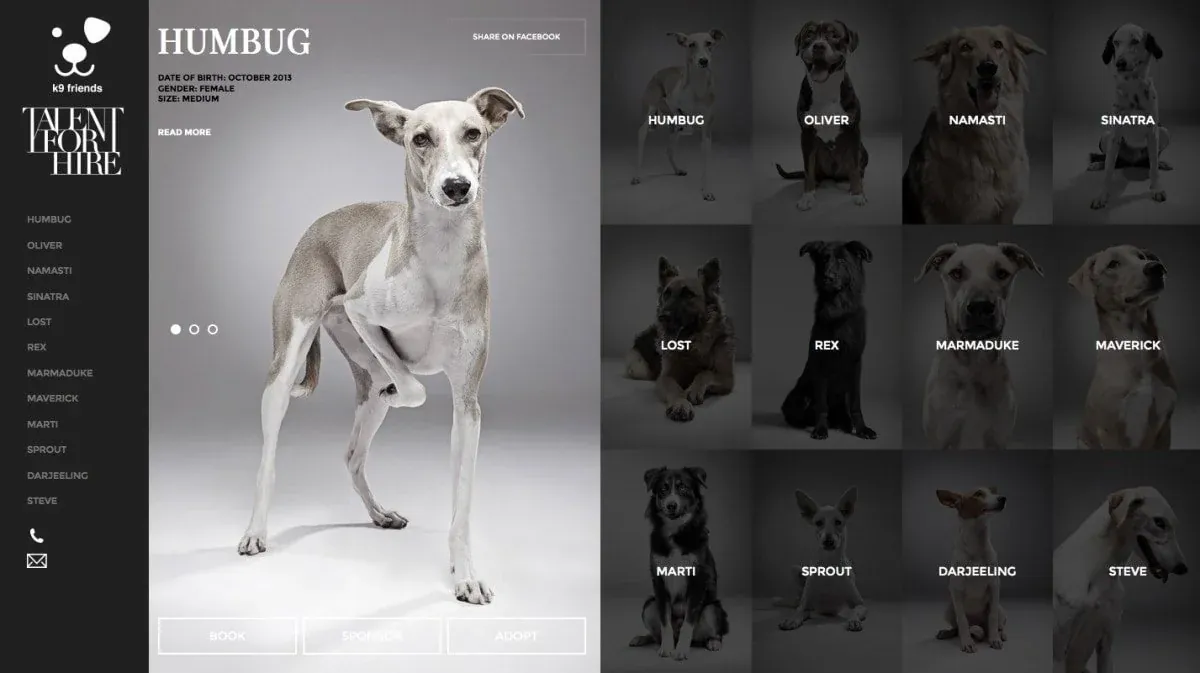 Talent For Hire for K9 Friends, image 3