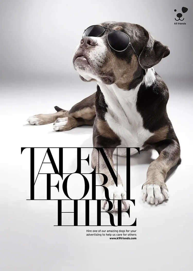 Talent For Hire for K9 Friends, image 5