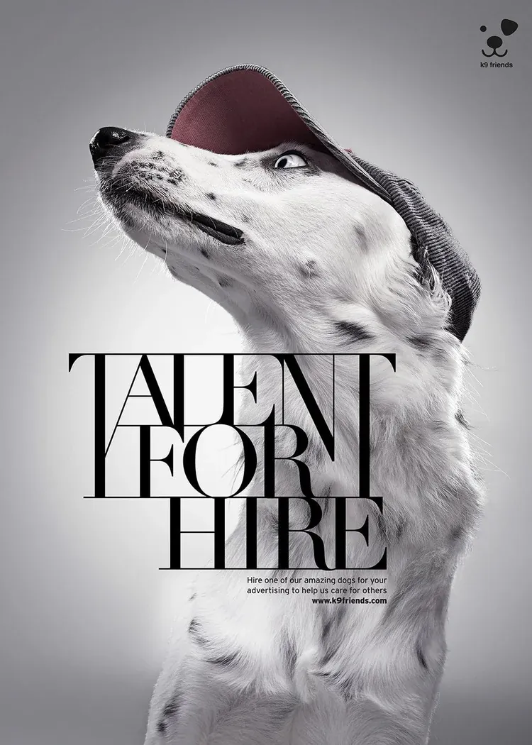 Talent For Hire for K9 Friends, image 6