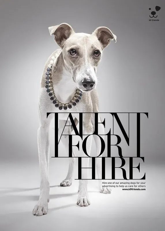 Talent For Hire for K9 Friends, image 7